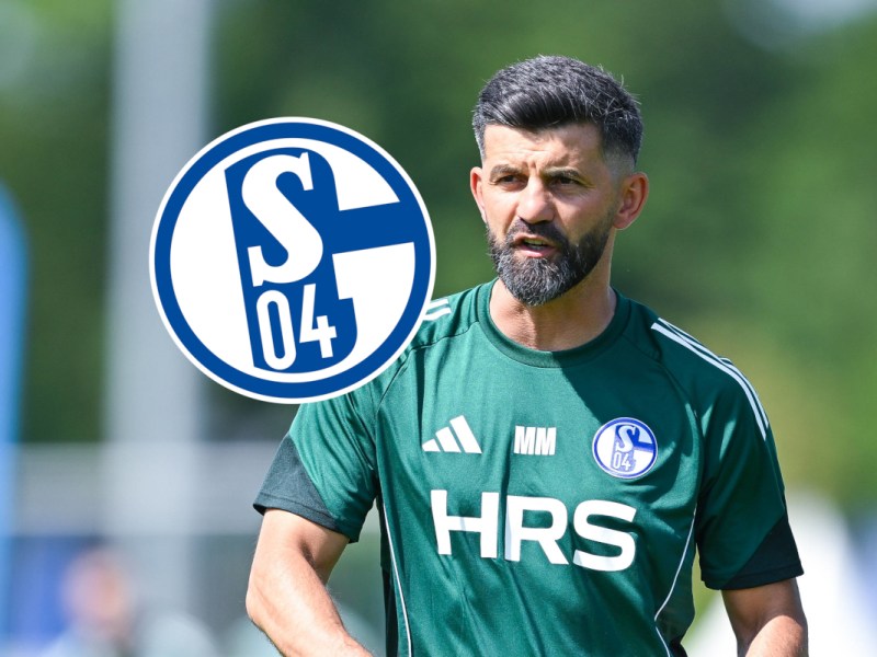 Frustrierender Trainingsauftakt für Muslic bei Schalke 04 – DAS war anders geplant