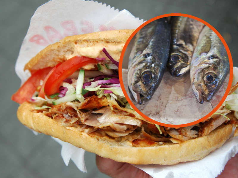 Fleisch war gestern: Jetzt kommt der Berliner Fisch-Döner!