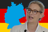 Umfrage-Hoch für die AfD im Juli