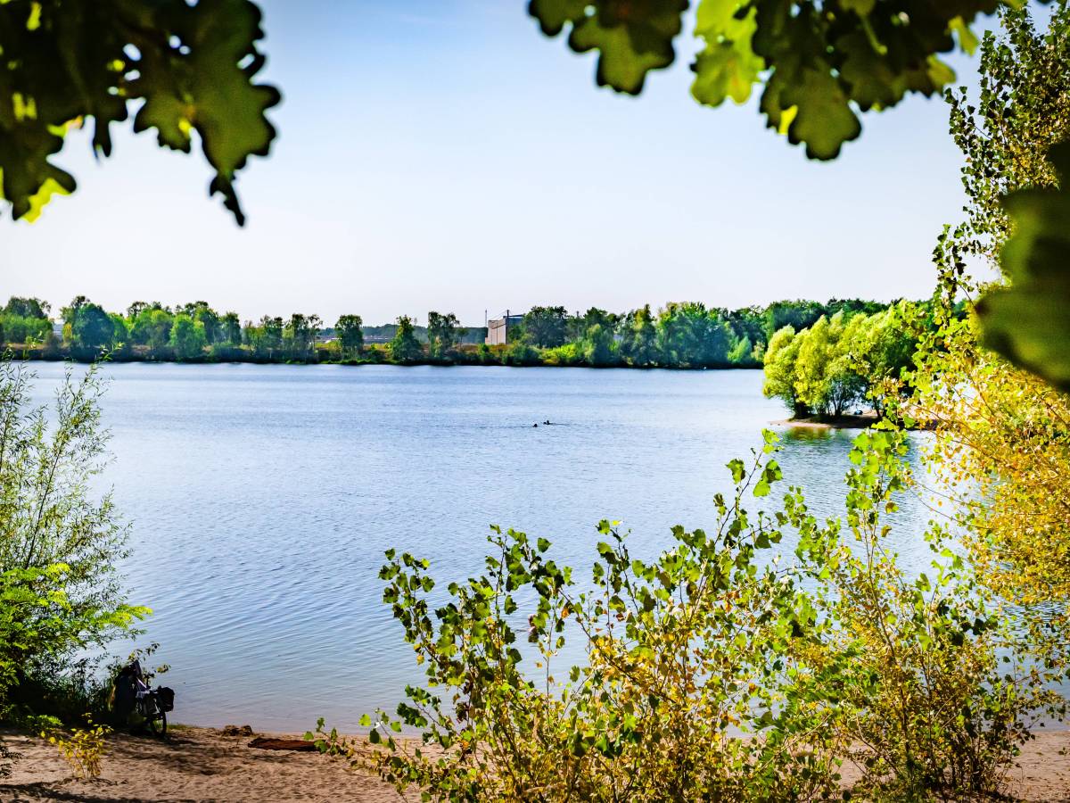 Ausblick auf Badesee zwischen grünen Bäumen