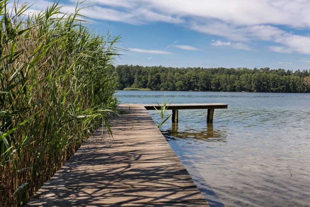 Steg über Seewasser, im Hintergrund ist grüner Wald