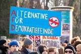 Ein Experte erklärt, warum ein AfD-Verbot (un)möglich ist